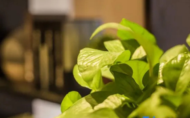 Golden Beach Boutique Hotel