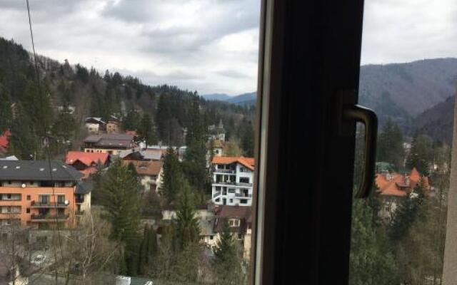Sinaia view