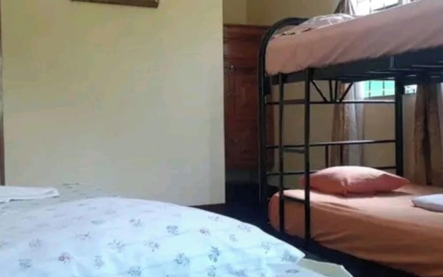 Hostel Coco's