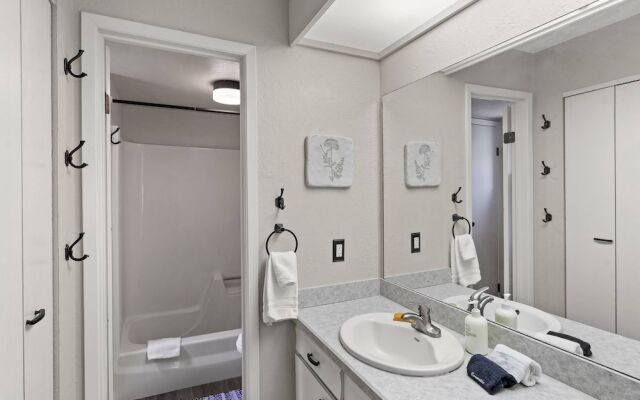 Snowmass Mountain D1