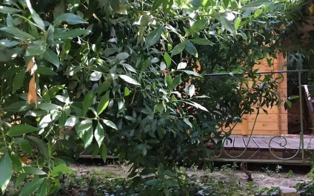 La cabane Romantique et sa balneotherapie