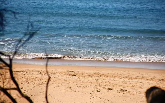 Surfspray I Pet Friendly I Absolute Beachfront