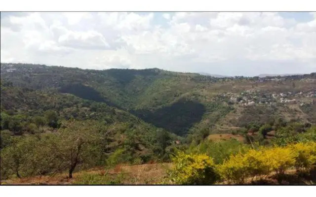 Valley View Bungalow 2BHK