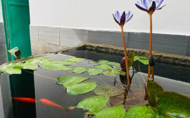 Nilv Flower Time International Youth Hostel