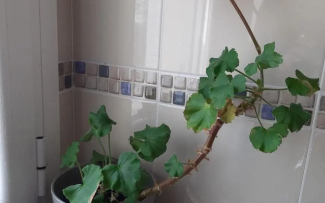 Apartamento Puerto de Foz