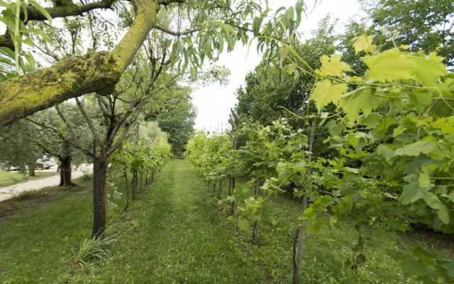 Tenuta EnGi
