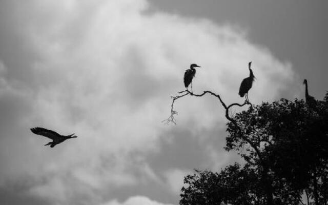 Losokwan Luxury Tented Camp - Maasai Mara