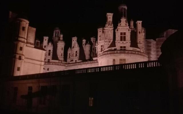 Gîte Muides-sur-Loire, 3 pièces, 4 personnes - FR-1-491-182