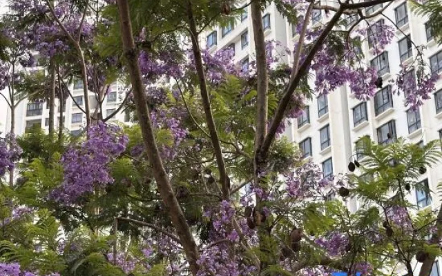 Lincang Heat Limit Limited Edition Hotel – Exterior – Lincang