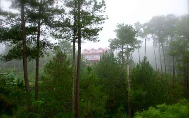 Misty Lodge and Cafe