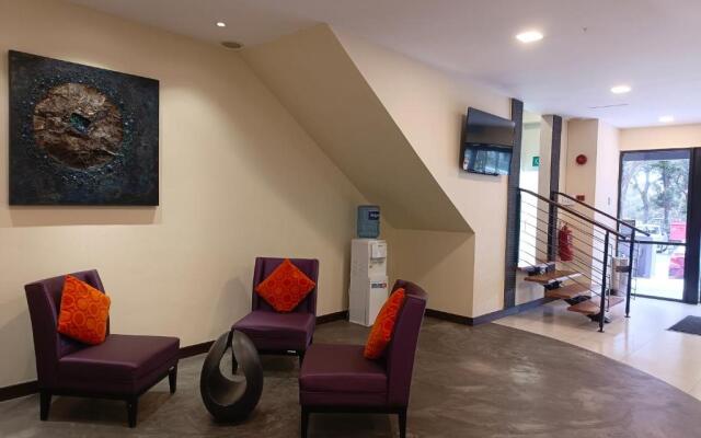 Kino Hotel