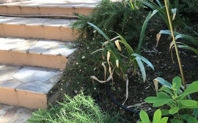 Appartement Cosy sur Presqu'île