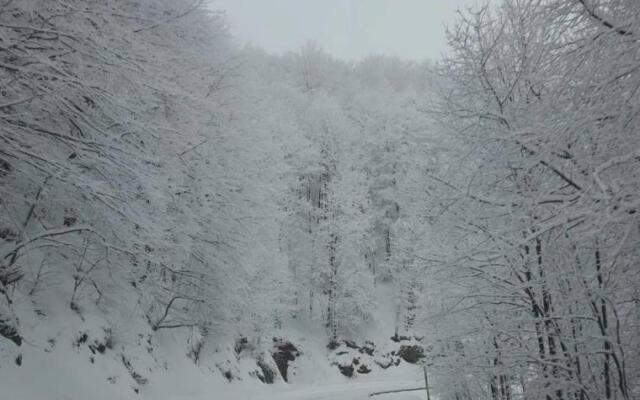 Apartman Marta Divčibare