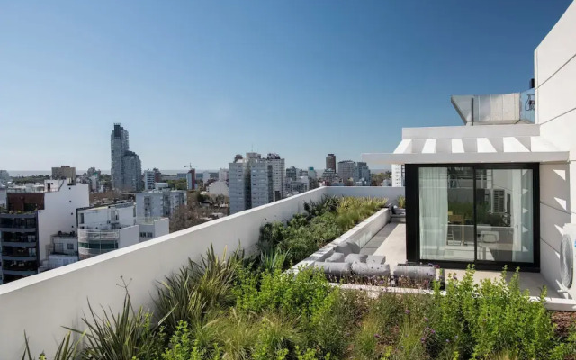 Top Rentals Nuñez