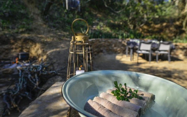 Stargazer Camp - Bellevue Forest Reserve