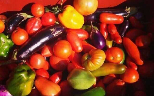 Agriturismo Terre Vineate