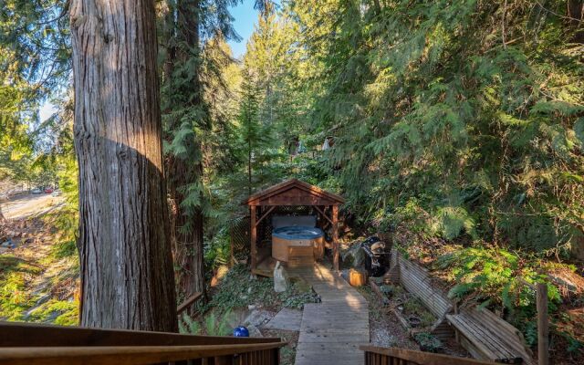 The Tree House Cottage