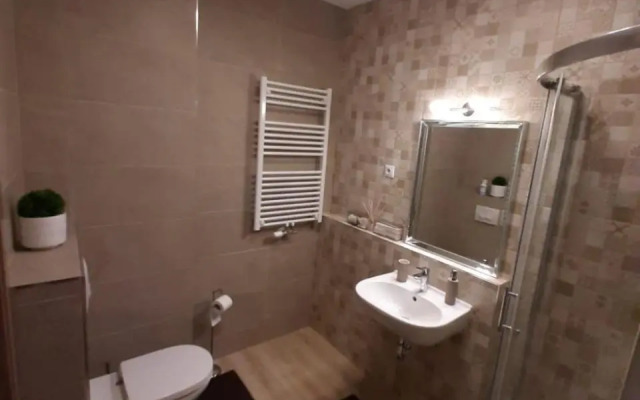 Rozsa55 apartment 2 rooms