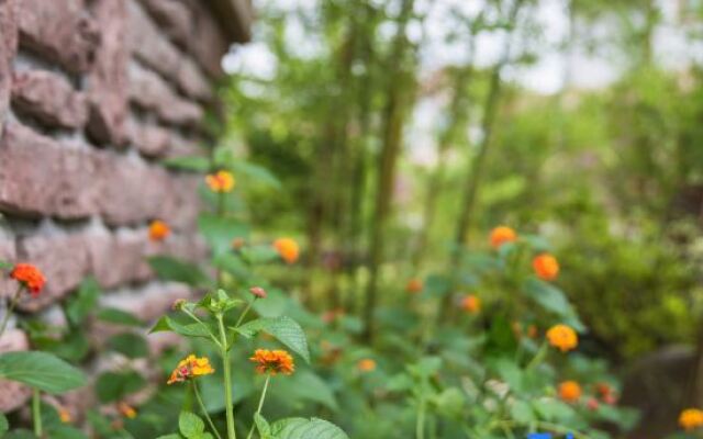 Wuyishan Shangxige B & B