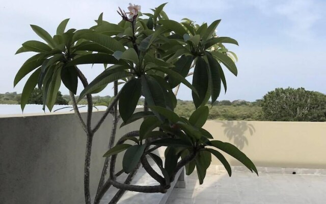 Tree Tops Yala