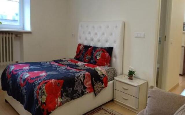 Kaunas Downtown Apartments