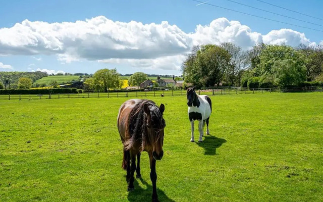 Willerby Grange Cottage