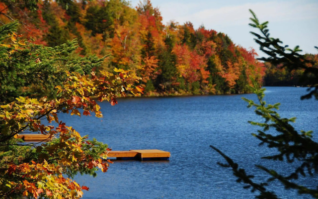 Fiddler Lake Resort