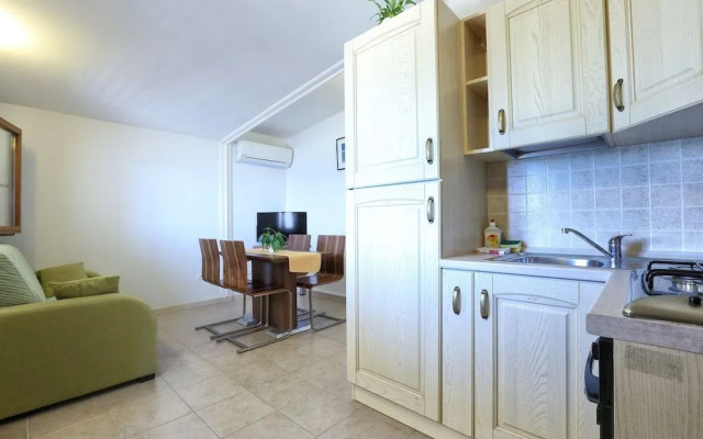 Dalmatian Star Homes