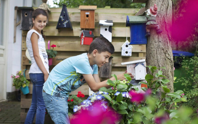 Stayokay Haarlem - Hostel