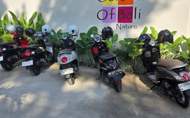 United Colors Of Bali Nature