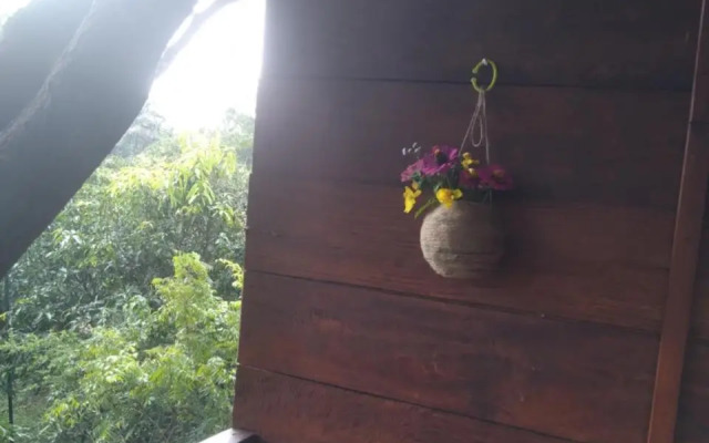 Dambulla Tree House