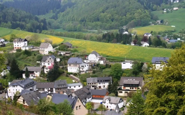 Apartment Near Willingen With Private Terrace