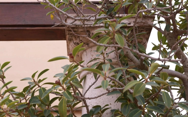 Casa Romana Hotel Boutique