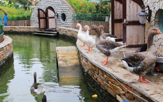 Nangong Hot Spring Health Hotel