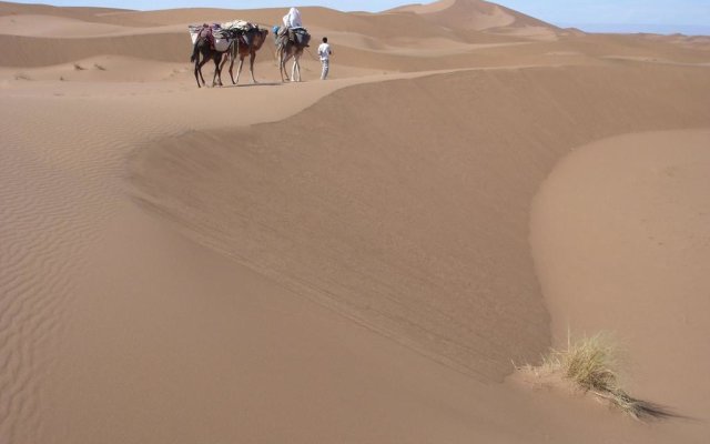 Desert Bivouac Mhamid