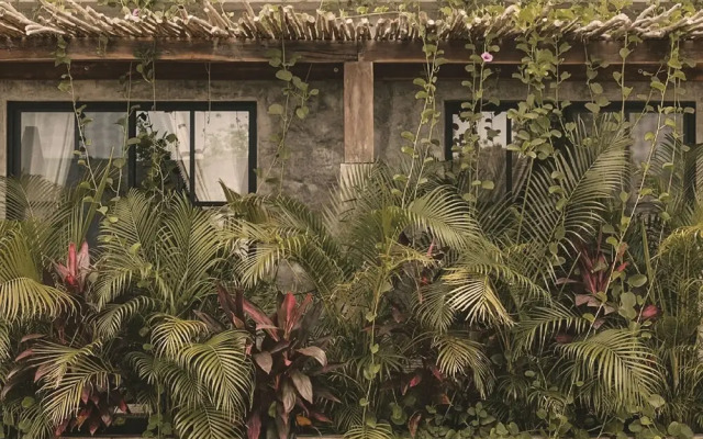 Boutique Hotel EL NIDO Holbox