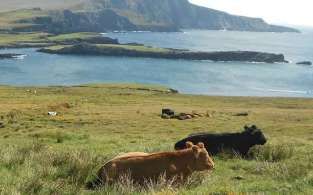 Glor Na Farriage Holiday Homes