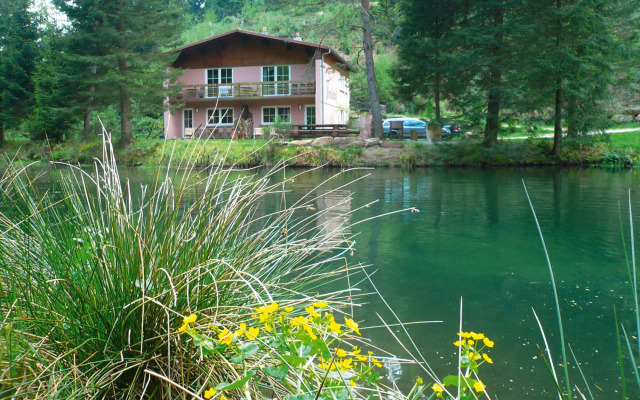 Cosy Apartment on Forellenhof, Zorn Valley, Dabo
