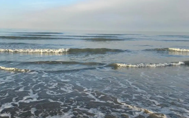 Happy stay by Anaïs - 20m to beach