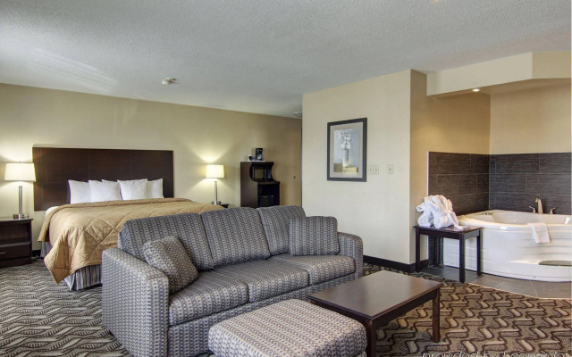 Comfort Inn & Suites Ambassador Bridge