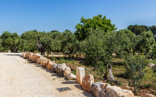 farm among olive trees w/ pool in Itria Valley