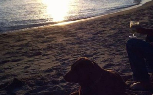 Salmonberry Inn & Beach House