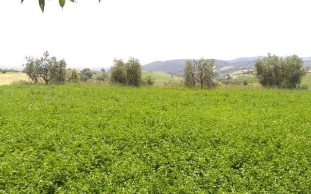 Agriturismo Uliveto Gretacci