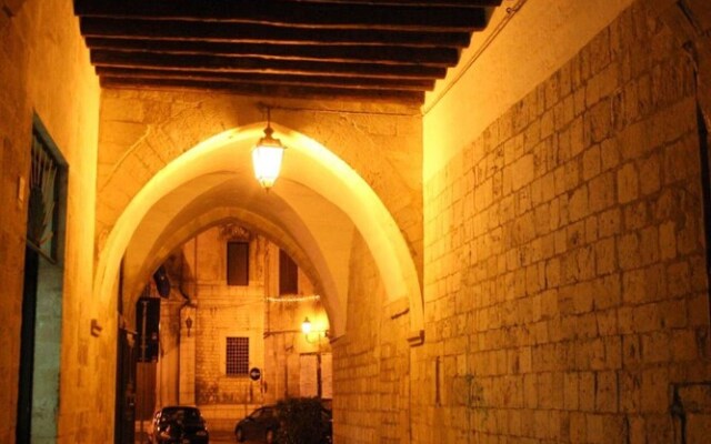 Domatia