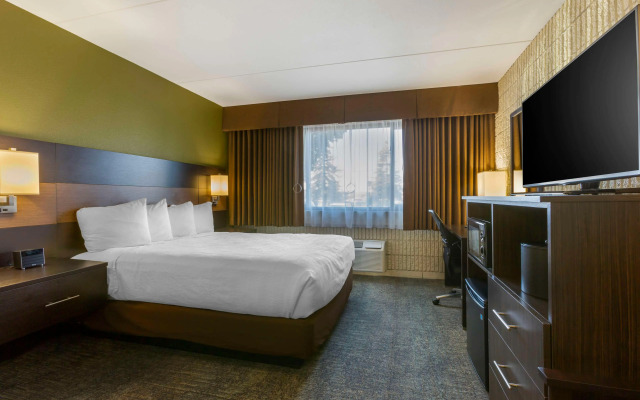 Best Western Plus University Inn