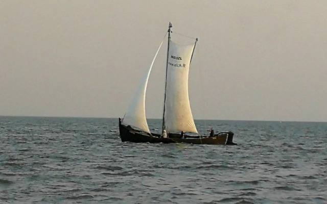 Taikos 24-7a