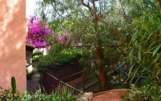 Appartement Banyuls-sur-Mer, 1 pièce, 4 personnes - FR-1-225C-260