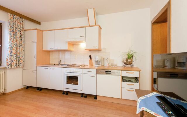 Spacious Apartment in Hollersbach im Pinzgau near Ski Area