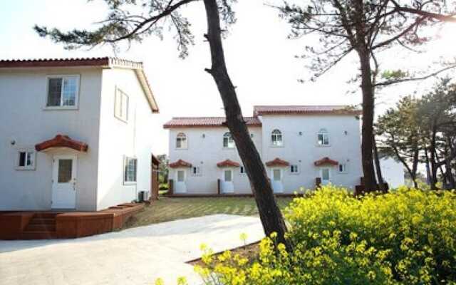 Jeju Owl House Pension