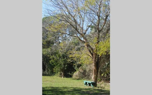 The Homestead - Simple Farm-Style Accommodation